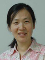 Prof. Yuan LinUniversity of Electronic Science and Technology of China, China